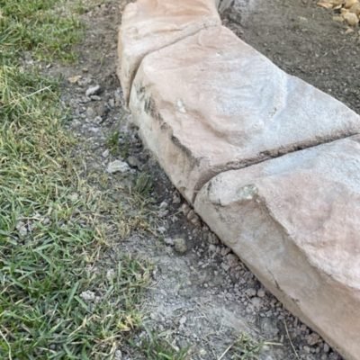 concret courbing renovations (17)