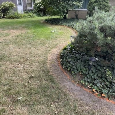 concret courbing renovations (20)